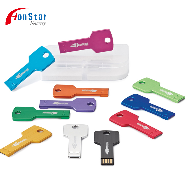 Key Shape 8Gb Memory Stick Usb Flash Drive Price